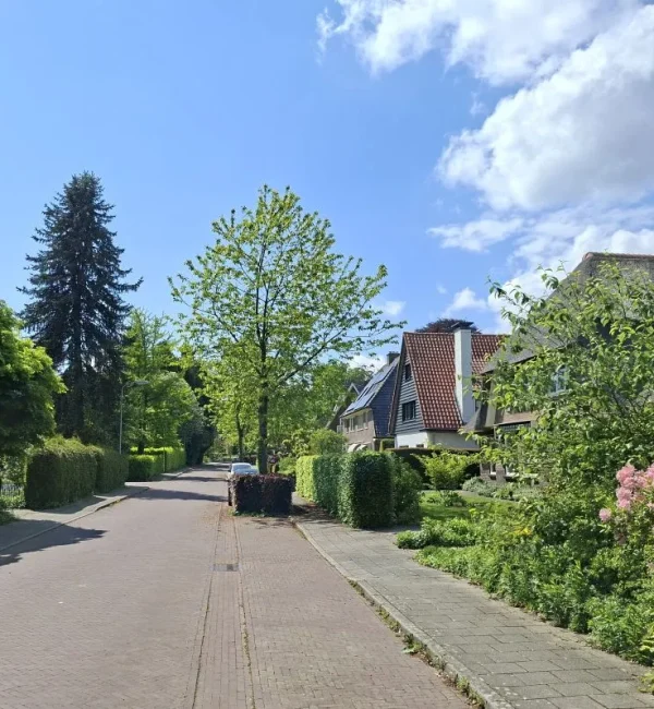 Groene woonstraat met karakteristieke woningen in De Steeg