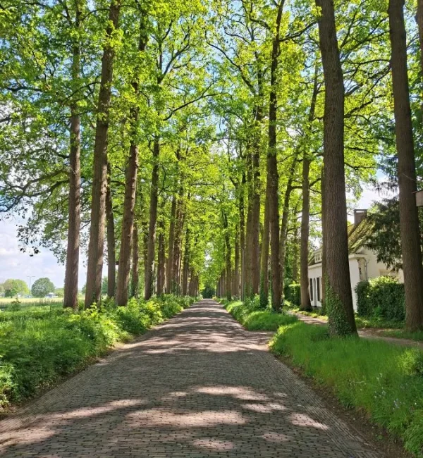 Hofstetterlaan Ellecom
